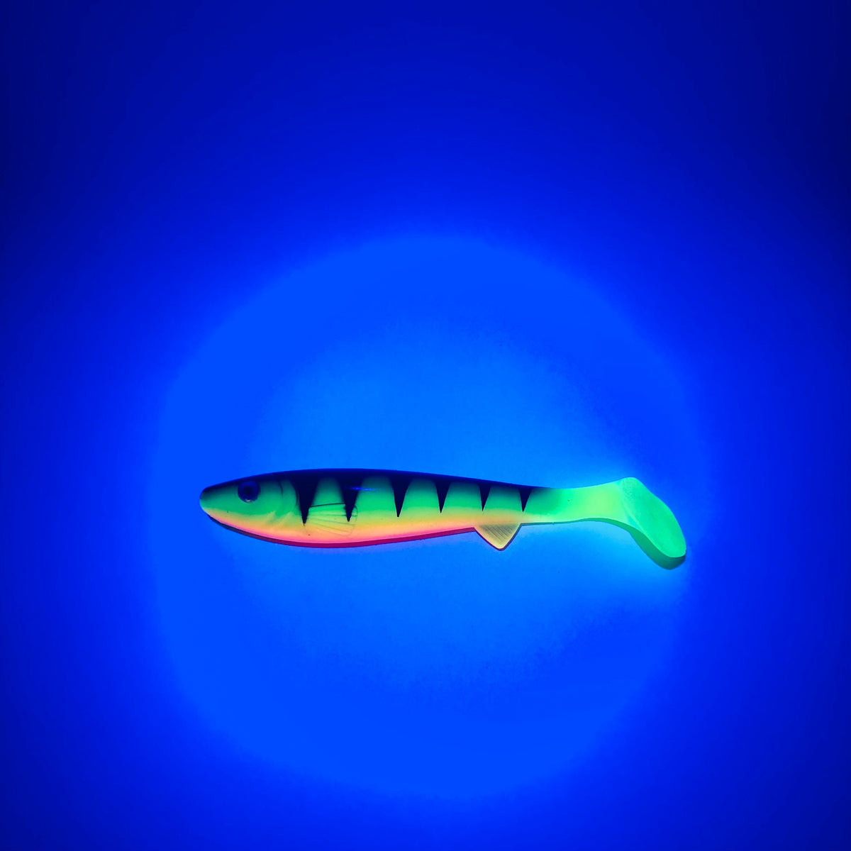 Hechtmutti Shad 17cm - UV Firetiger - 2 Stk